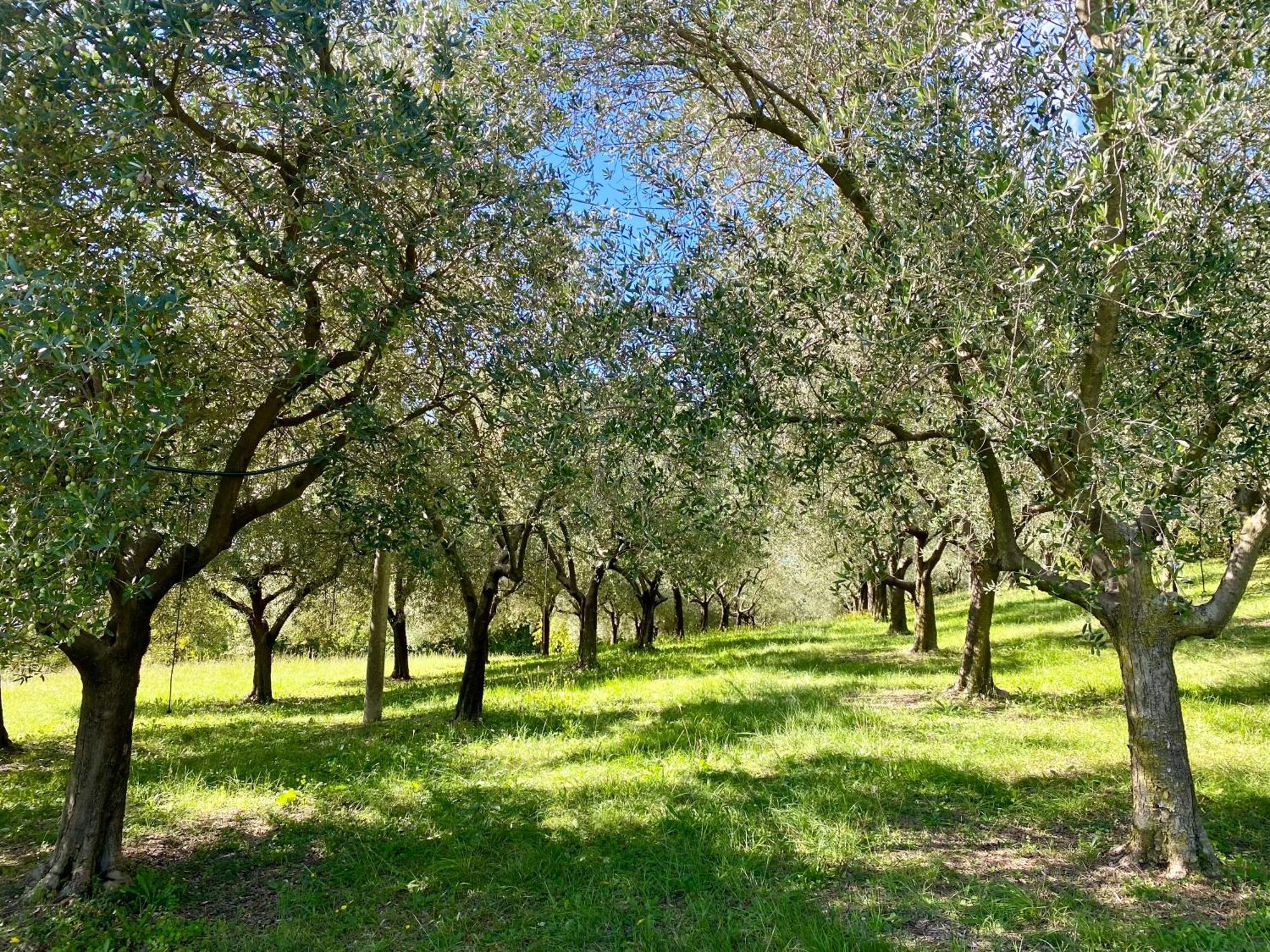 Agri-alloggio Le Poscole Al Canton