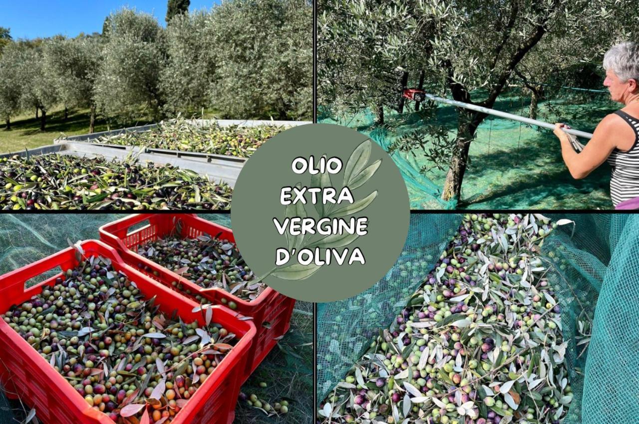 Farm stay Agri-alloggio Le Poscole Al Canton *