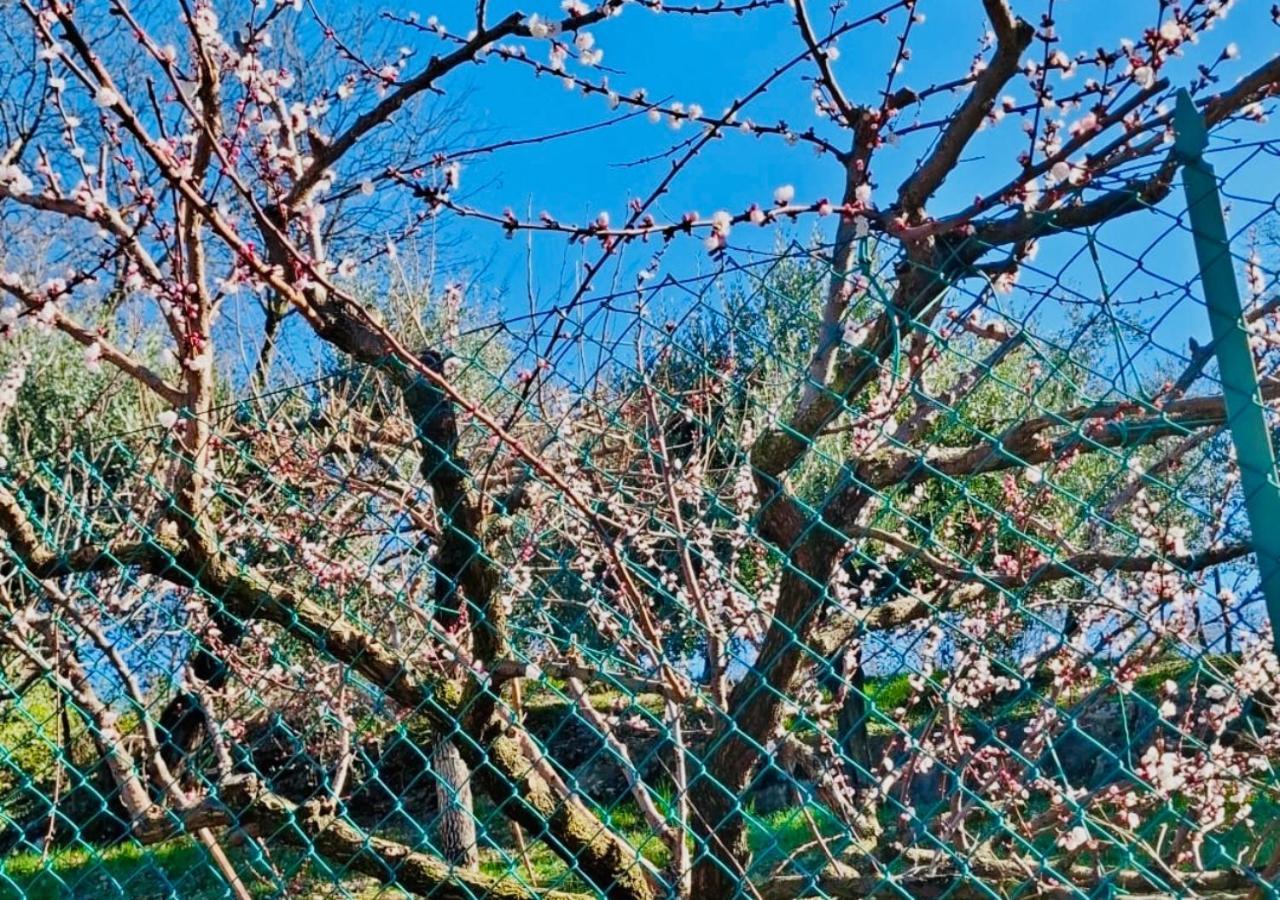Agri-alloggio Le Poscole Al Canton * Castelgomberto