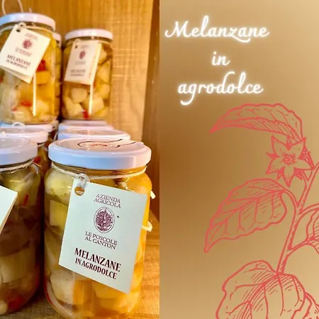 Agri-Alloggio Le Poscole Al Canton Castelgomberto Exterior foto