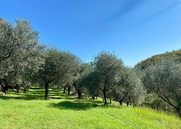 Agri-Alloggio Le Poscole Al Canton