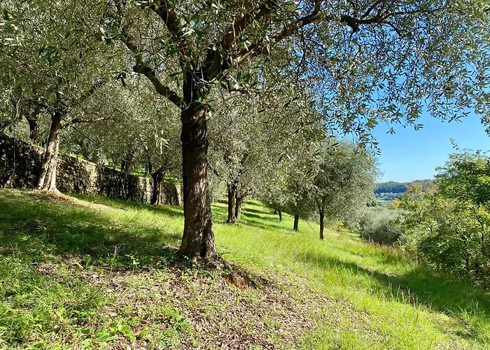 Agri-Alloggio Le Poscole Al Canton