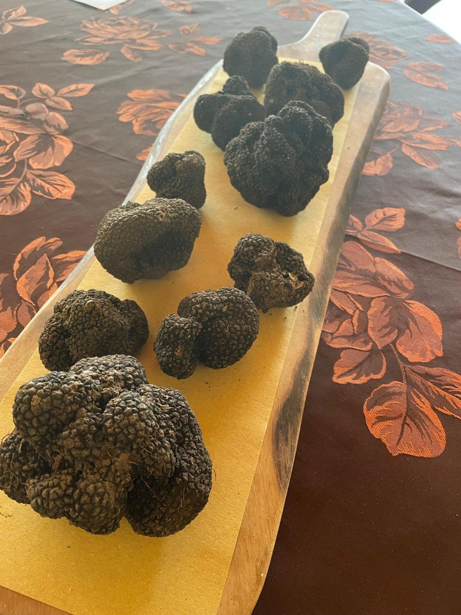 Agri-alloggio Le Poscole Al Canton