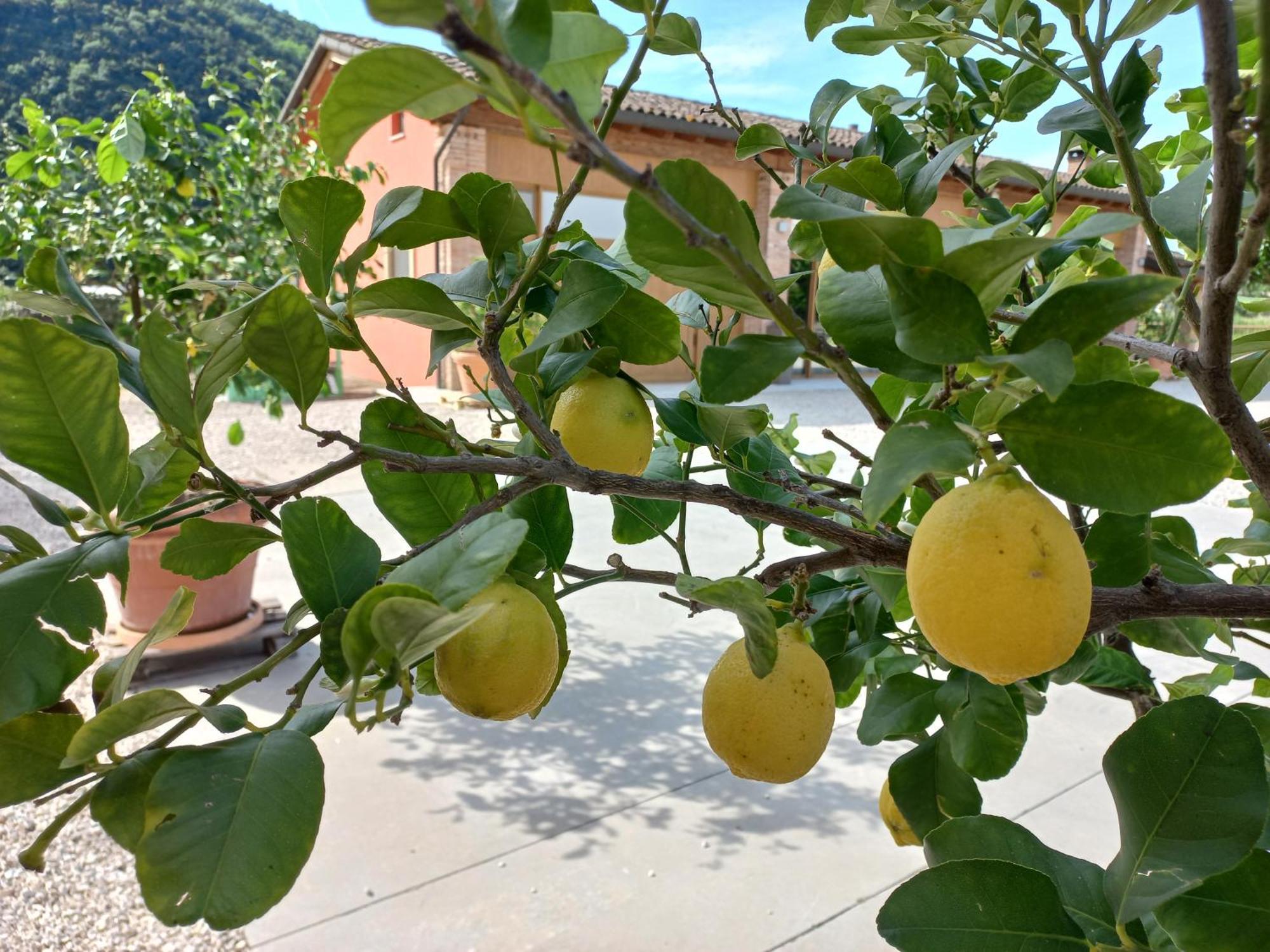 Agri-alloggio Le Poscole Al Canton Farm stay *