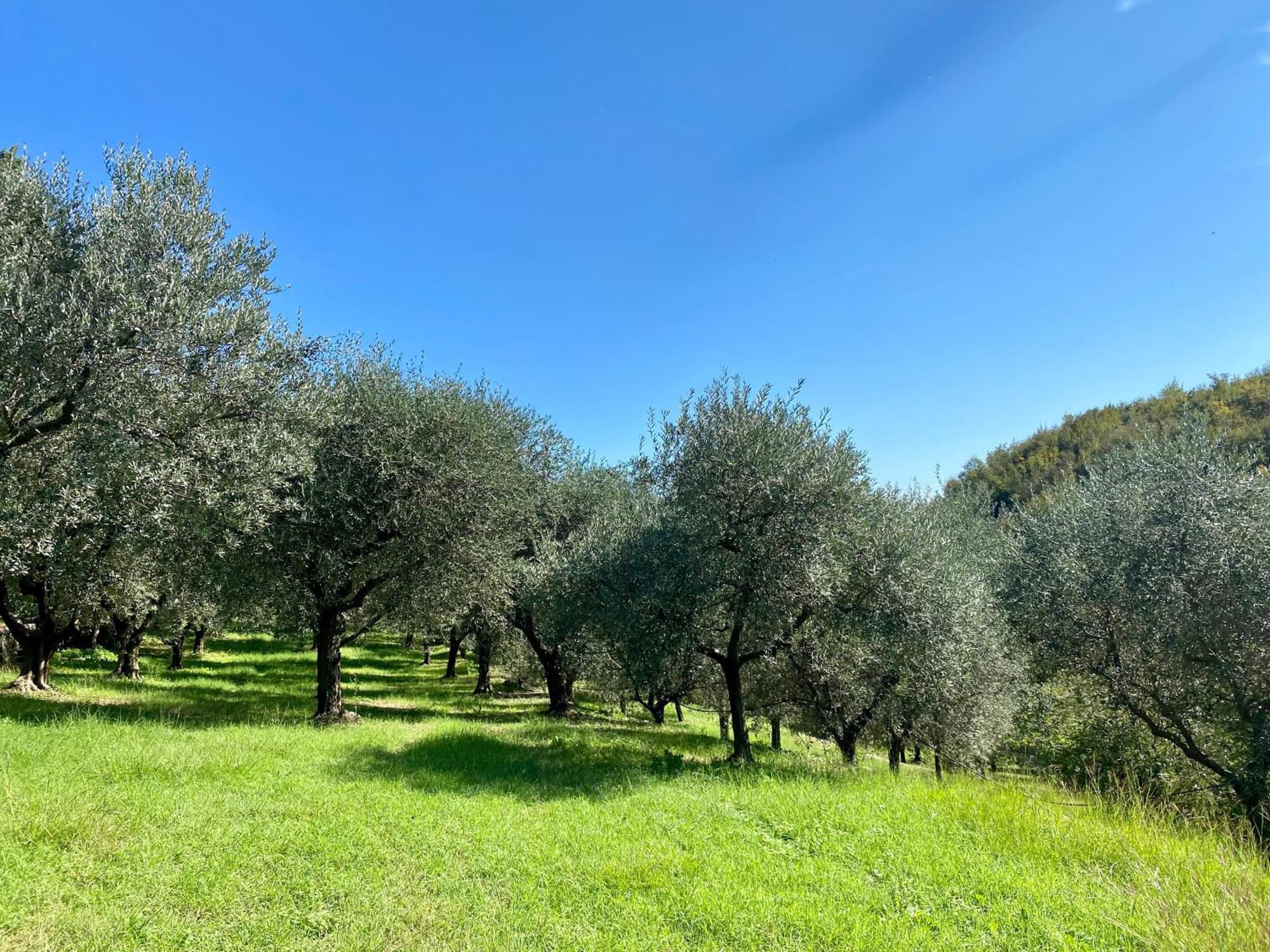 Agri-alloggio Le Poscole Al Canton