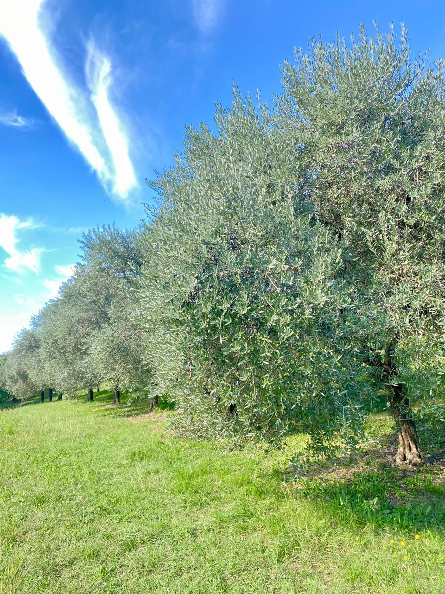 Farm stay Agri-alloggio Le Poscole Al Canton
