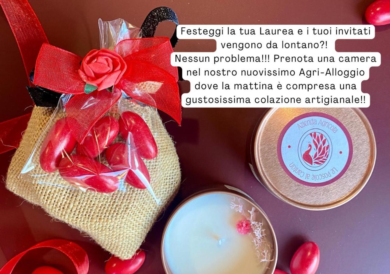 Agri-alloggio Le Poscole Al Canton Farm stay *