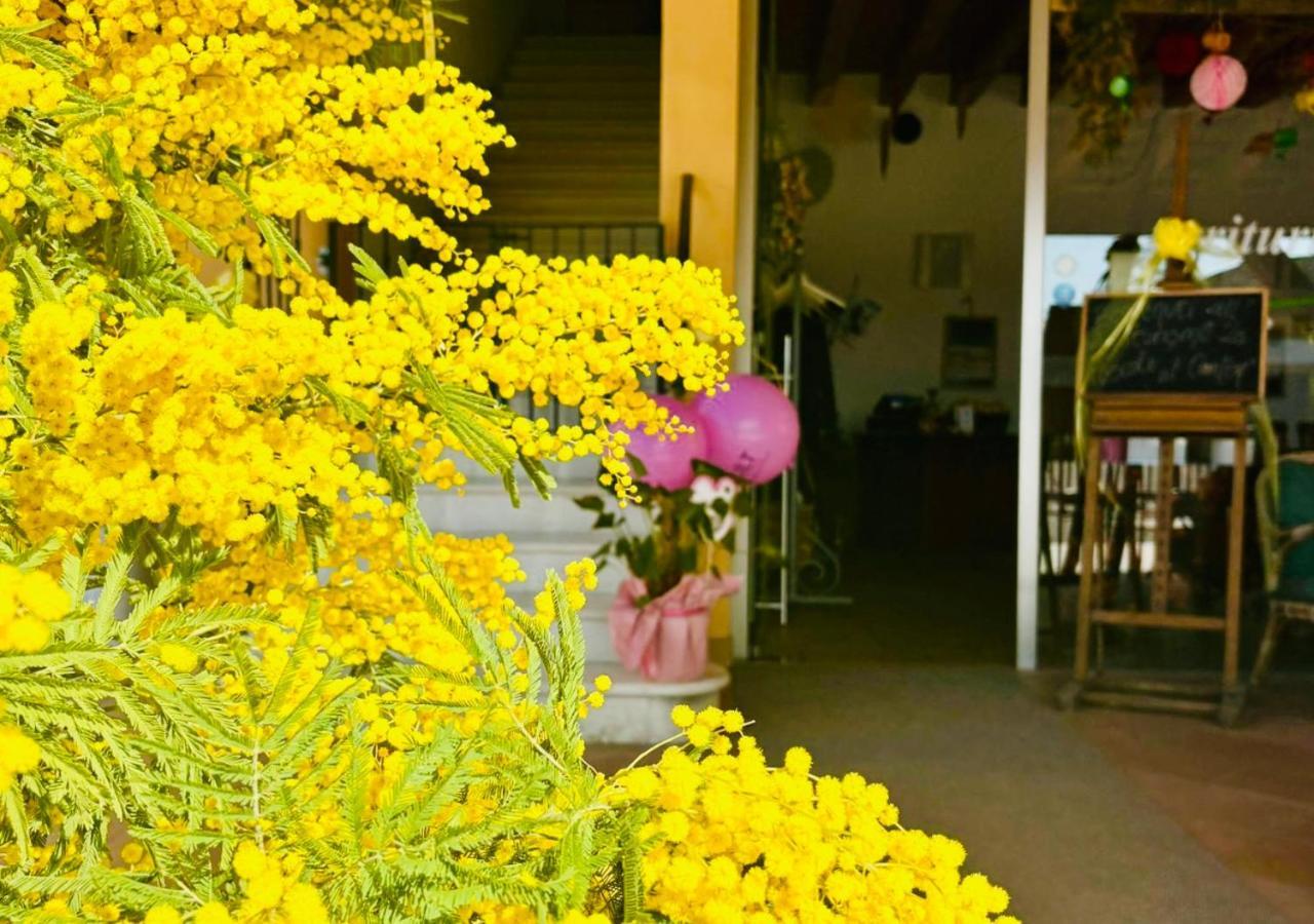 Agri-alloggio Le Poscole Al Canton *
