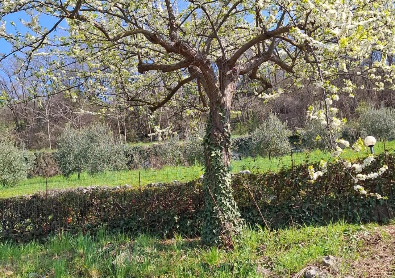 Farm stay Agri-alloggio Le Poscole Al Canton