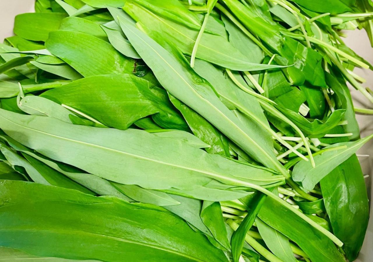 Agri-alloggio Le Poscole Al Canton