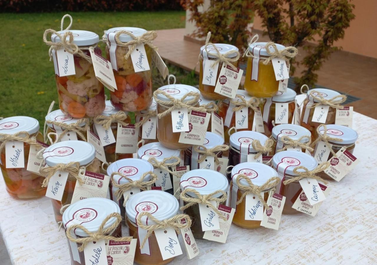 Farm stay Agri-alloggio Le Poscole Al Canton Castelgomberto